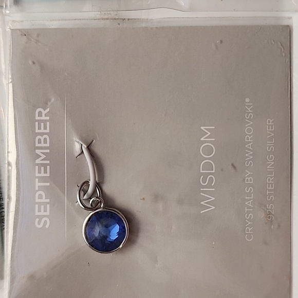 Swarovski birth stones 925 charm - Picture 4 of 6